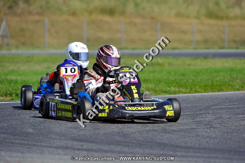 DSC_ (1288).jpg